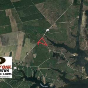 Photo of 16.64 Acres of Hunting Land for Sale in Pamlico County NC!