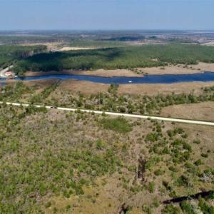 Photo of 16.64 Acres of Hunting Land for Sale in Pamlico County NC!