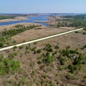 Photo of 16.64 Acres of Hunting Land for Sale in Pamlico County NC!