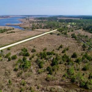 Photo of 16.64 Acres of Hunting Land for Sale in Pamlico County NC!
