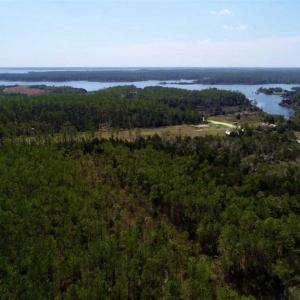 Photo of SOLD!!  26.94  Acres of Hunting Land for Sale in Pamlico County NC!
