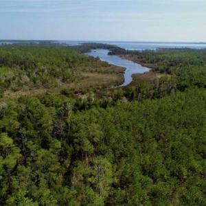 Photo of SOLD!!  26.94  Acres of Hunting Land for Sale in Pamlico County NC!