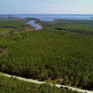 Photo of SOLD!!  26.94  Acres of Hunting Land for Sale in Pamlico County NC!