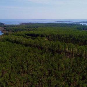 Photo of SOLD!!  26.94  Acres of Hunting Land for Sale in Pamlico County NC!