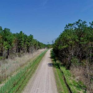 Photo of SOLD!!  26.94  Acres of Hunting Land for Sale in Pamlico County NC!