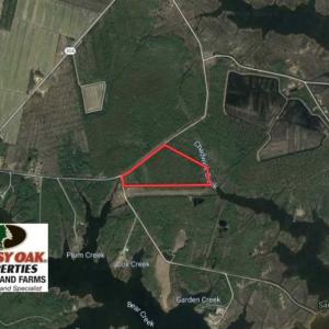 Photo of SOLD!!  26.94  Acres of Hunting Land for Sale in Pamlico County NC!