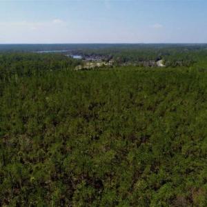 Photo of SOLD!!  26.94  Acres of Hunting Land for Sale in Pamlico County NC!