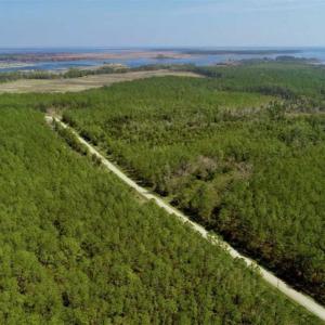 Photo of SOLD!!  26.94  Acres of Hunting Land for Sale in Pamlico County NC!