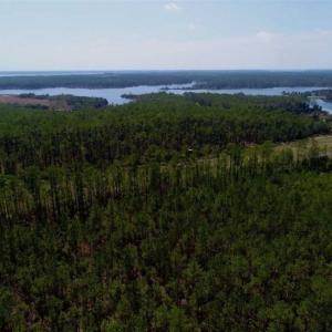 Photo of SOLD!!  26.94  Acres of Hunting Land for Sale in Pamlico County NC!