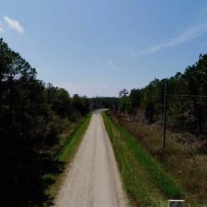 Photo of SOLD!!  26.94  Acres of Hunting Land for Sale in Pamlico County NC!