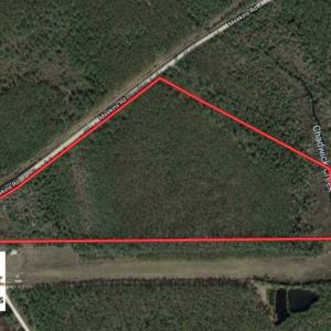 Photo of SOLD!!  26.94  Acres of Hunting Land for Sale in Pamlico County NC!