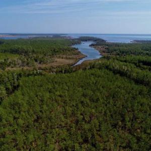 Photo of SOLD!!  26.94  Acres of Hunting Land for Sale in Pamlico County NC!