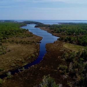 Photo of SOLD!!  26.94  Acres of Hunting Land for Sale in Pamlico County NC!