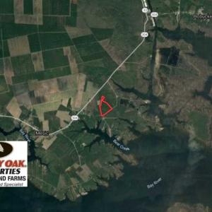 Photo of SOLD!!  50.29  Acres of Hunting Land for Sale in Pamlico County NC!