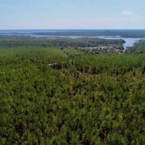 Photo of SOLD!!  50.29  Acres of Hunting Land for Sale in Pamlico County NC!