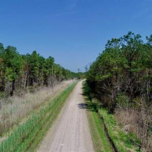 Photo of SOLD!!  50.29  Acres of Hunting Land for Sale in Pamlico County NC!