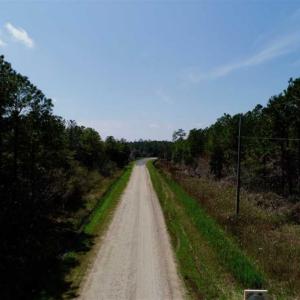 Photo of SOLD!!  50.29  Acres of Hunting Land for Sale in Pamlico County NC!