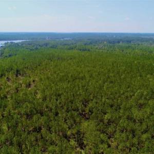 Photo of SOLD!!  50.29  Acres of Hunting Land for Sale in Pamlico County NC!