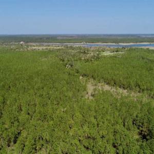 Photo of SOLD!!  50.29  Acres of Hunting Land for Sale in Pamlico County NC!