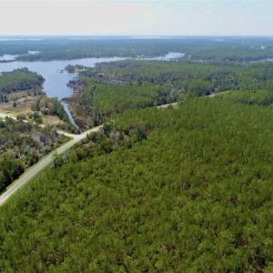 Photo of SOLD!!  50.29  Acres of Hunting Land for Sale in Pamlico County NC!