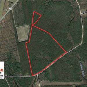Photo of SOLD!!  50.29  Acres of Hunting Land for Sale in Pamlico County NC!