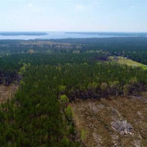 Photo #9 of SOLD property in Off Hummingbird Lane, Bayboro, NC 22.9 acres