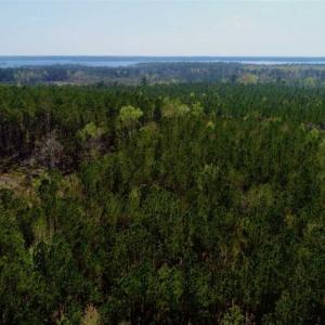 Photo #25 of SOLD property in Off Hummingbird Lane, Bayboro, NC 22.9 acres