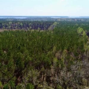 Photo #4 of SOLD property in Off Hummingbird Lane, Bayboro, NC 22.9 acres