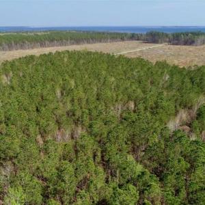 Photo #27 of SOLD property in Off Hummingbird Lane, Bayboro, NC 22.9 acres