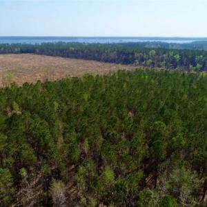 Photo #5 of SOLD property in Off Hummingbird Lane, Bayboro, NC 22.9 acres