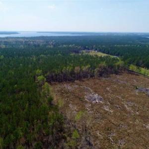 Photo #8 of SOLD property in Off Hummingbird Lane, Bayboro, NC 22.9 acres