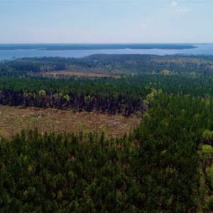 Photo #10 of SOLD property in Off Hummingbird Lane, Bayboro, NC 22.9 acres
