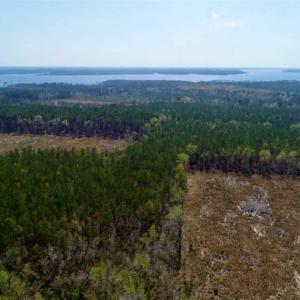 Photo #11 of SOLD property in Off Hummingbird Lane, Bayboro, NC 22.9 acres