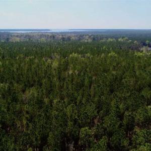 Photo #26 of SOLD property in Off Hummingbird Lane, Bayboro, NC 22.9 acres