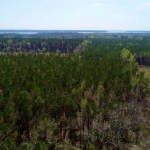Photo #6 of SOLD property in Off Hummingbird Lane, Bayboro, NC 22.9 acres