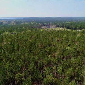 Photo #23 of SOLD property in Off Hummingbird Lane, Bayboro, NC 22.9 acres