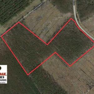 Photo #1 of SOLD property in Off Hummingbird Lane, Bayboro, NC 22.9 acres