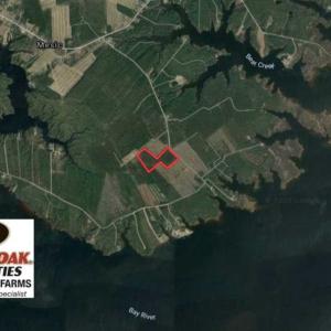 Photo #2 of SOLD property in Off Hummingbird Lane, Bayboro, NC 22.9 acres