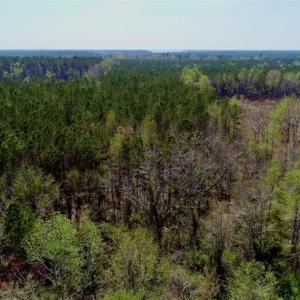 Photo #3 of SOLD property in Off Hummingbird Lane, Bayboro, NC 22.9 acres