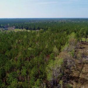 Photo #24 of SOLD property in Off Hummingbird Lane, Bayboro, NC 22.9 acres