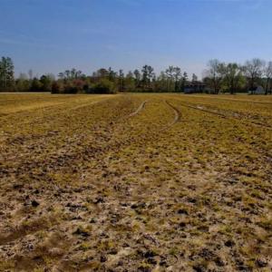Photo of SOLD!!  8.38 Acres of Farm Land For Sale in Pamlico County NC!