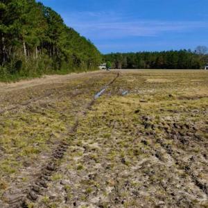 Photo of SOLD!!  8.38 Acres of Farm Land For Sale in Pamlico County NC!