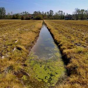 Photo of SOLD!!  8.38 Acres of Farm Land For Sale in Pamlico County NC!