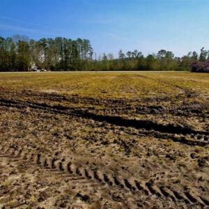 Photo of SOLD!!  8.38 Acres of Farm Land For Sale in Pamlico County NC!