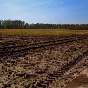 Photo of SOLD!!  8.38 Acres of Farm Land For Sale in Pamlico County NC!