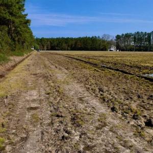 Photo of SOLD!!  8.38 Acres of Farm Land For Sale in Pamlico County NC!