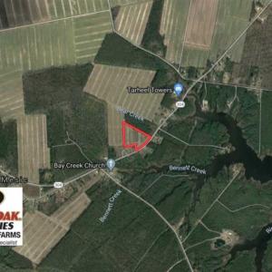 Photo of SOLD!!  8.38 Acres of Farm Land For Sale in Pamlico County NC!