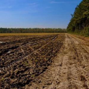 Photo of SOLD!!  8.38 Acres of Farm Land For Sale in Pamlico County NC!