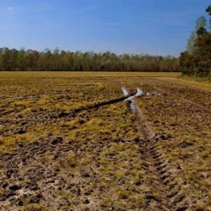 Photo of SOLD!!  8.38 Acres of Farm Land For Sale in Pamlico County NC!