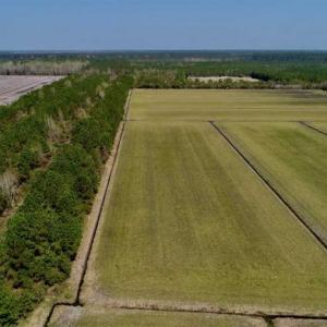 Photo of SOLD!!  218 Acres of Farm and Timber Land in Pamlico County NC!